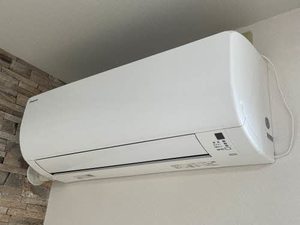 シェソワ 0202号-9