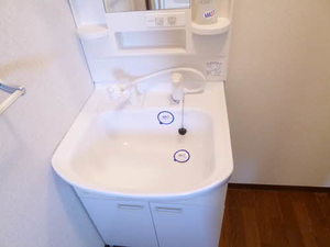 メゾン花水木 A201号-11