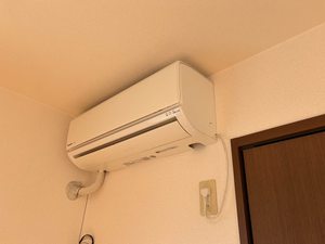 ディアス花みずき D202号-9