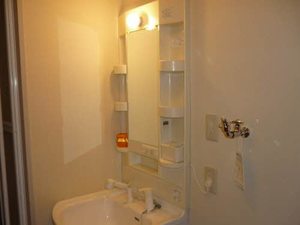 ディアス花みずき E102号-4