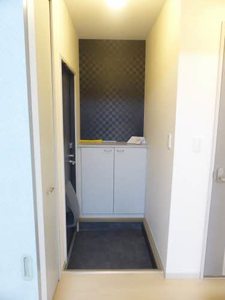 メゾン銀河 0102号-4