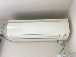 セレッソ赤砂 0101号-12