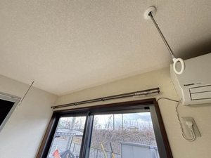 カーサマッローネ B101号-8