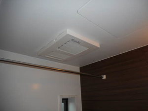 フォレストエバーＩｎｎ D202号-9
