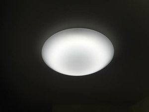 フォレストエバーＩｎｎ D202号-14