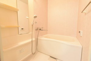 ディアス２１ 0203号-5