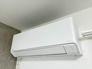 パインツリー１ A101号-11