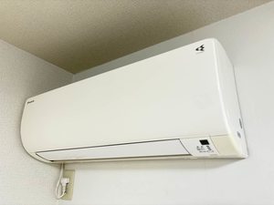 パインツリー1 A102号-12