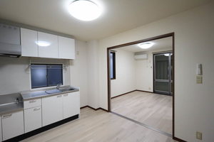 Sugar Haim D201号-4