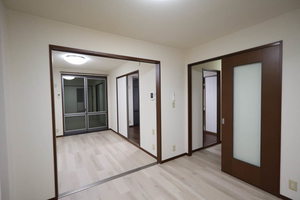 Sugar Haim D201号-6