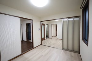 Sugar Haim D201号-8