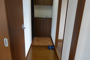 Sugar Haim D202号-2
