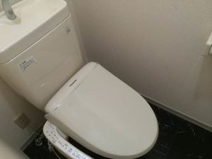 グリーンコート B101号-8