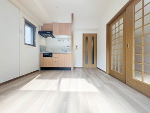 スプリングプレイス 0201号-4