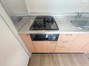 スプリングプレイス 0201号-6