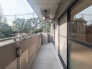 スプリングプレイス 0201号-15