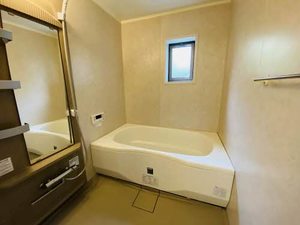 ステラどんこ 0102号-8