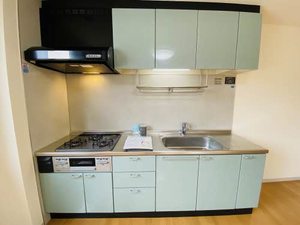 ステラどんこ 0102号-13