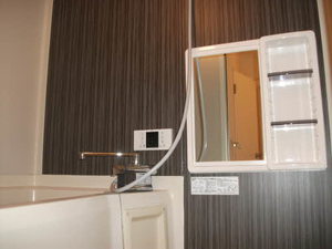 ラプラスモア佐藤 0201号-11