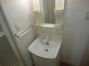 バリュージュトラウム B202号-11