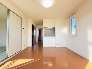 バリュージュトラウム C201号-3