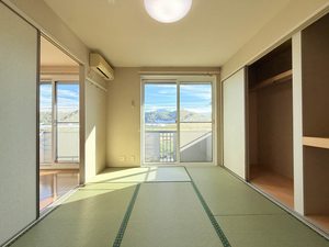 バリュージュトラウム C201号-4