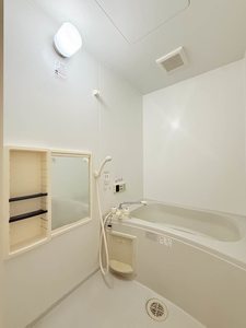 バリュージュトラウム C201号-11