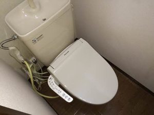 フォーレスコスモス A101号-12