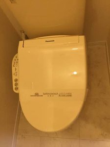 ディアス竹の山 B103号-9