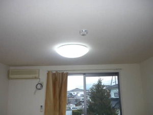 ヘーレンメンシュ 0202号-2