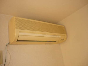 ヘーレンメンシュ 0202号-6