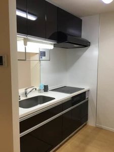 Chavui6 0101号-11