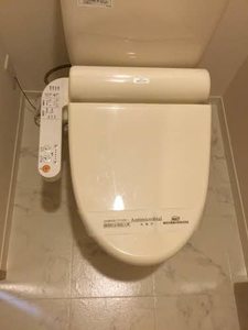 Chavui6 0101号-15