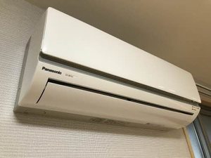 アコルト A201号-13