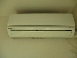 榎の実 0101号-10