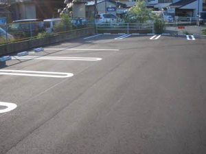 ボナールN 0101号-13