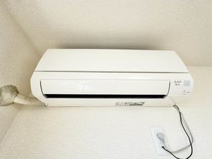 アヴァンセ本市場 C101号-14