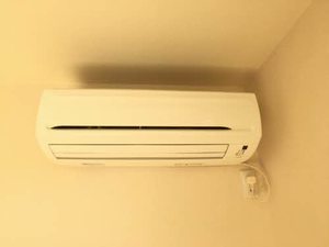 花水木Ａ 0101号-7