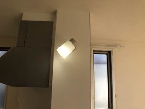 花水木Ａ 0201号-5