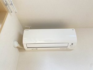 スカイパレス 0101号-9