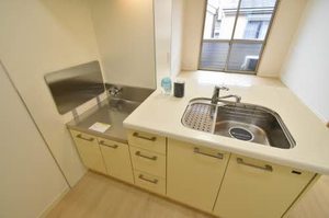 スカイパレス 0201号-10