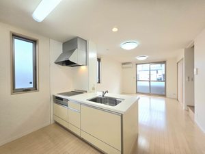 エルシオンＤ 0102号-2