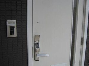 プロヌーブ　ジョイ A202号-2