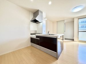 セントラルフィールド 0102号-4
