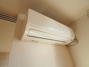 クオレール 0101号-9