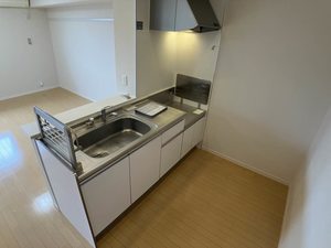ベルフィオーレＤ 0218号-3