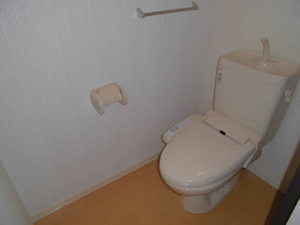 フリージア 0202号-11