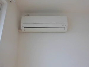 フリージア 0202号-14