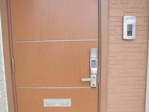 フリージア 0202号-15