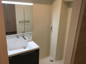 ＭＡＳＴＴＯＷＮ　Ａｓｔｒａｅａ 0110号-12